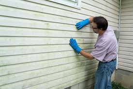 Affordable Siding Repair and Maintenance Services in Cactus, TX